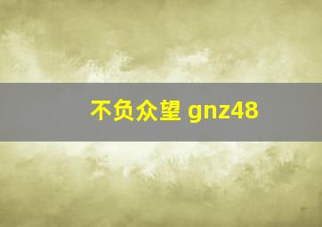 不负众望 gnz48